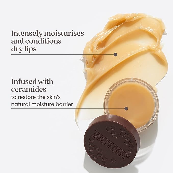 Burt's Bees Overnight Intensive Lip Treatment 7.08g